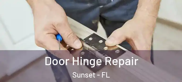 Door Hinge Repair Sunset - FL