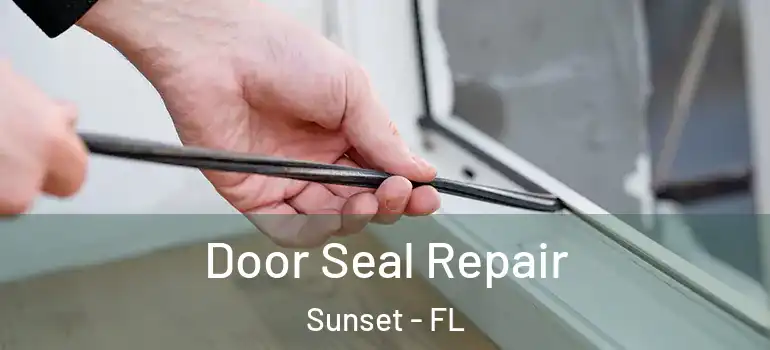 Door Seal Repair Sunset - FL