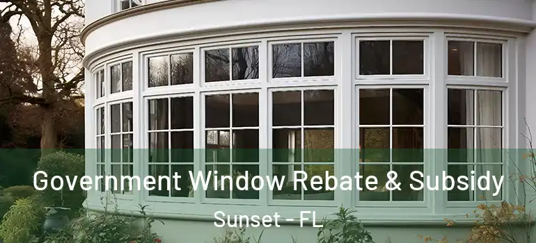 Government Window Rebate & Subsidy Sunset - FL