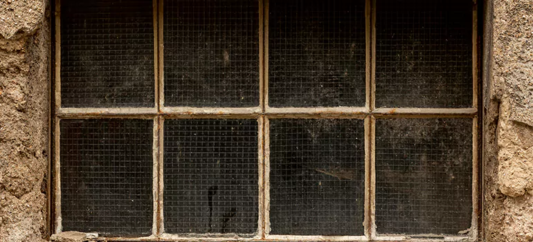Traditional Double Front Doors in Sunset, FL