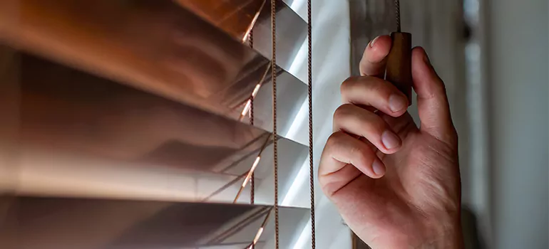 Double Roller Blinds in Sunset, FL