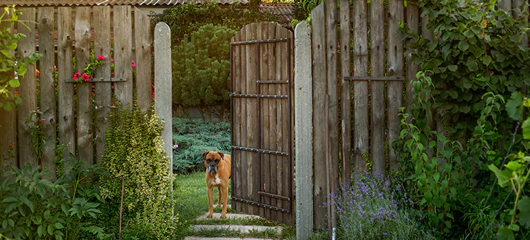 Winter Garden Garage Door Repair in Sunset,[location field=state]