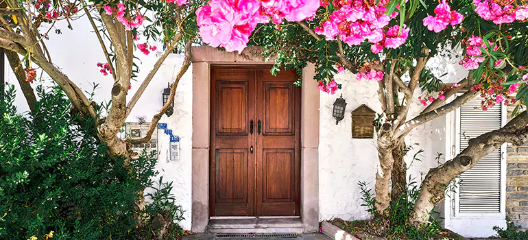 Traditional 4 Panel Internal Doors in Sunset, FL