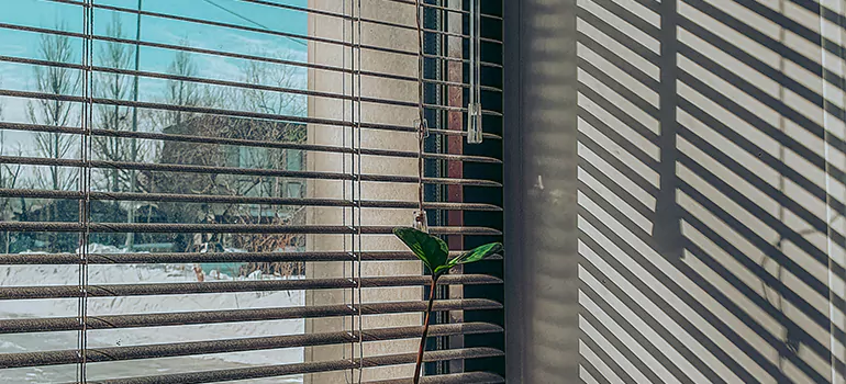 Commercial Window Blinds in Sunset, FL