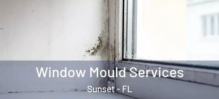 Window Mould Services Sunset - FL